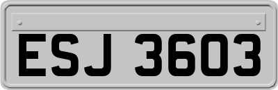 ESJ3603