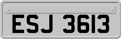 ESJ3613