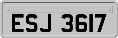 ESJ3617