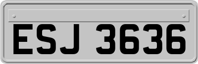 ESJ3636