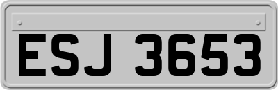 ESJ3653