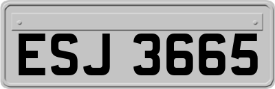 ESJ3665