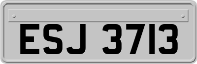 ESJ3713