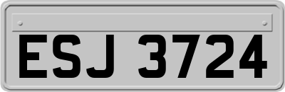 ESJ3724