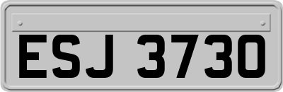 ESJ3730