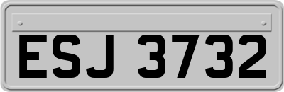 ESJ3732
