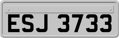 ESJ3733