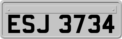 ESJ3734