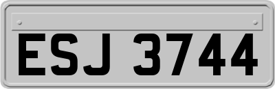 ESJ3744