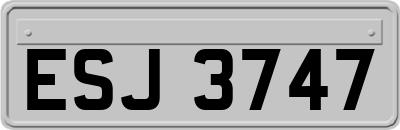 ESJ3747