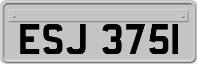 ESJ3751