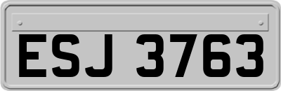 ESJ3763