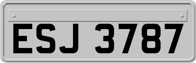 ESJ3787