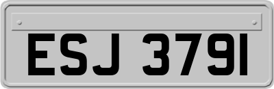 ESJ3791