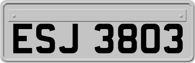 ESJ3803