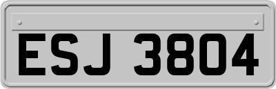 ESJ3804