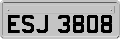 ESJ3808