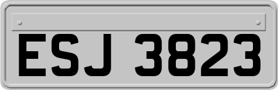 ESJ3823