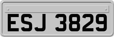 ESJ3829