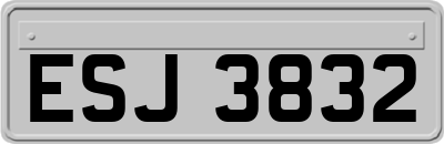 ESJ3832