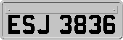 ESJ3836