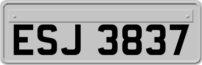 ESJ3837