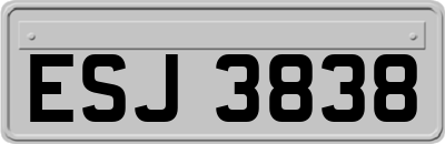 ESJ3838