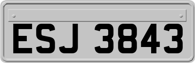 ESJ3843