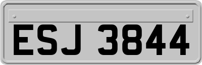 ESJ3844