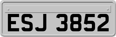 ESJ3852