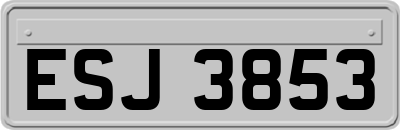 ESJ3853