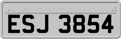 ESJ3854