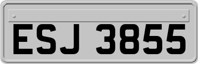 ESJ3855