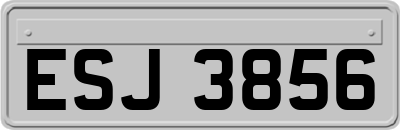 ESJ3856