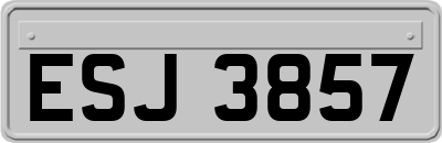 ESJ3857