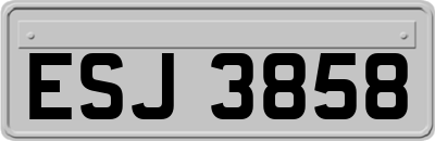 ESJ3858