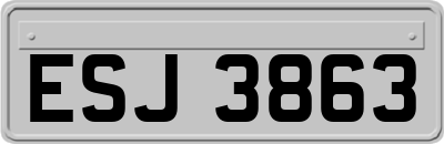 ESJ3863