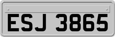 ESJ3865
