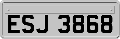 ESJ3868