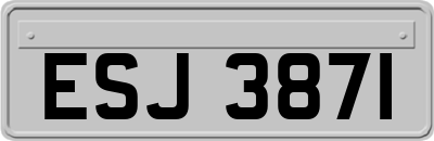 ESJ3871