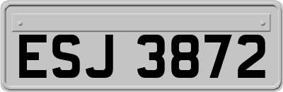 ESJ3872