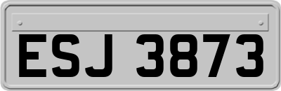 ESJ3873