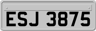 ESJ3875