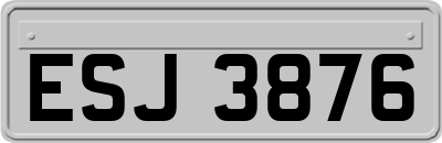ESJ3876
