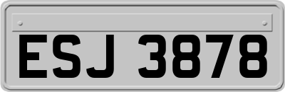 ESJ3878