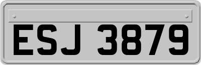 ESJ3879