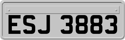 ESJ3883