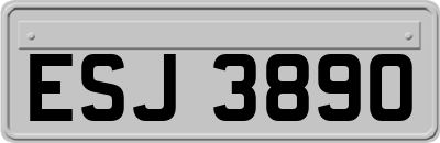 ESJ3890