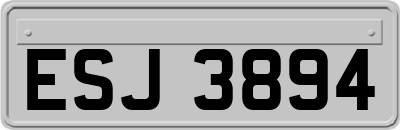 ESJ3894