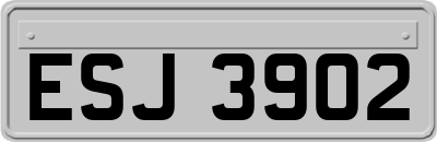 ESJ3902